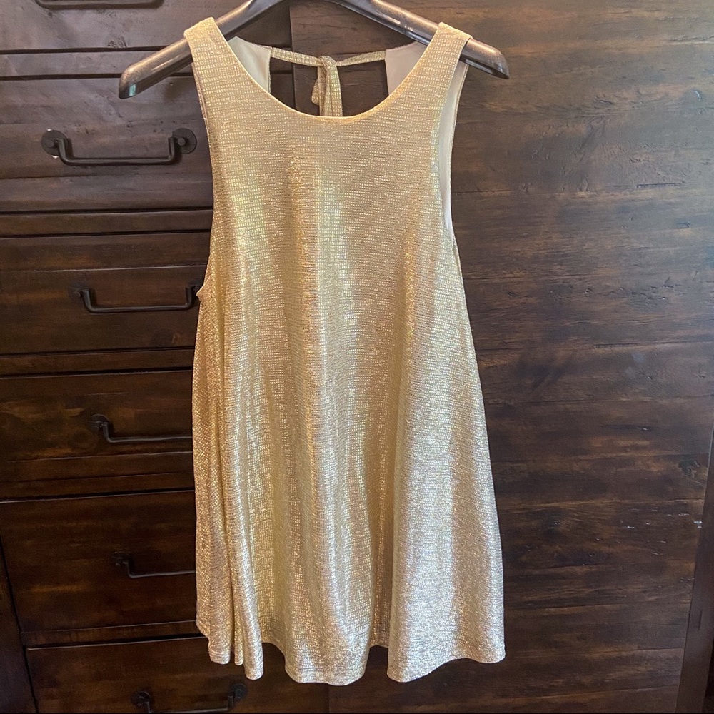 Boutique Swing Mini Dress